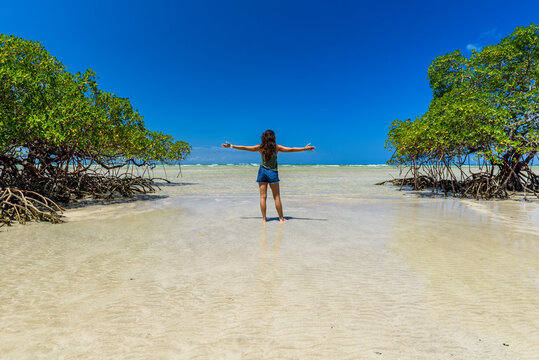 Young woman standing next to mangrove trees on tropical beach in Morro de Sao Paulo, south Bahia state, Brazil