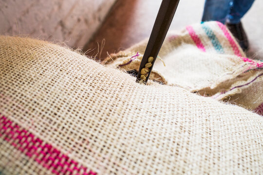 A sample is taken from a bag of freshly roasted coffee beans at a processing facility in rural Colombia.