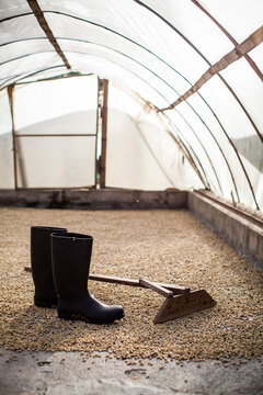 Boots and a rake lie in a greenhouse where coffee beans are dried and bagged before export from a farm in rural Colombia.