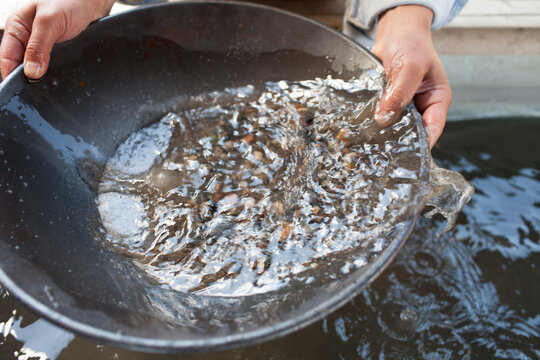 Panning for gold
