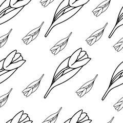 Seamless pattern Doodle tulip, flowers for international women is day