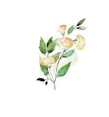Watercolor arrangement of greenery, isolated illustration on a white background © nastyasklyarova