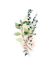 Watercolor green branches on abstract spot isolated illustration on a white background	
