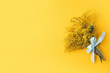 yellow mimosa flowers bouquet on yellow solid bakground
