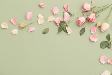 pink and white flowers on green  paper  background