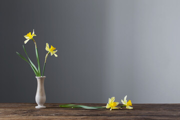 yellow narcissus  in vase on wooden table on dark background