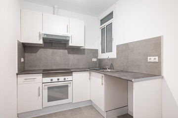 Light compact kitchen with stove, extractor hood and sink and window. Concept of kitchen in a small...