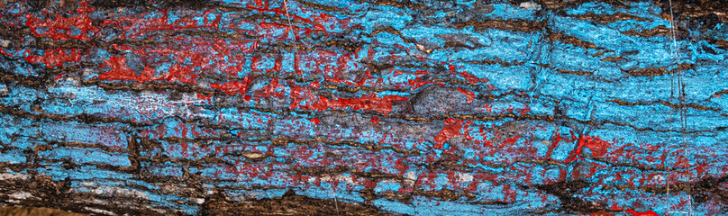 Tree bark painted blue and red grunge background texture