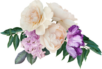 Bouquet of lilac, white roses and purple tulip isolated on a transparent background. Png file. ...