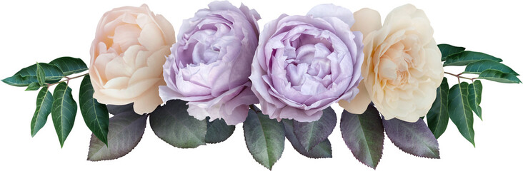 Bouquet of soft lilac and white roses isolated on a transparent background. Png file.  Line floral arrangement. . Can be used for invitations, greeting, wedding card.