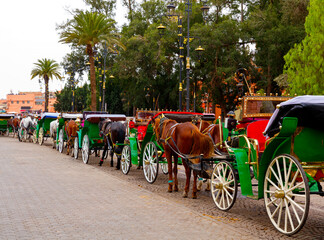 Marrakech in Morocco- horses and cart for tourist