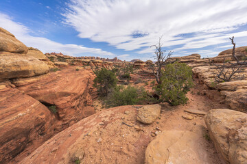 hiking the chesler park loop trail in the needles in canyonlands national park, usa
