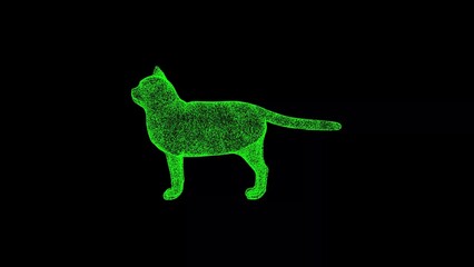 3D cat on black bg. Object dissolved green flickering particles. Business advertising backdrop. Science concept. For title, text, presentation. 3D animation.