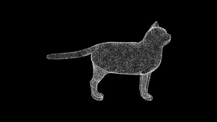 3D cat on black bg. Object dissolved white flickering particles. Business advertising backdrop. Science concept. For title, text, presentation. 3D animation.