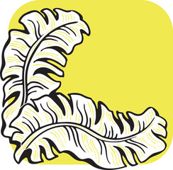 Banana leaves decorative vector elements for banner design, greeting card, holiday poster. Hand drawn illustration, botanical summer vacation theme. Nature ecological, romantic garden. relaxing spa.