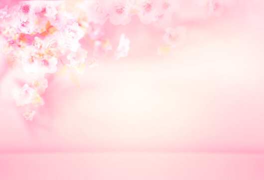 Spring summer blurred light pink background with shadow of the flowers and leaves of blossom tree on a wall. Abstract Spring Summer scene for product presentation.