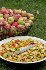 Cutting a lot of apples into pieces in the garden. Fresh red apple harvest. Cutting and preparing a fresh apple for eating. Cut fruits for jam cider or juice outdoors