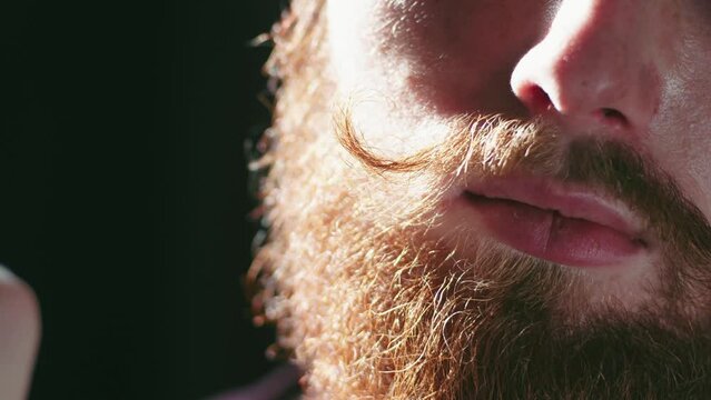 The close filmed face of a bearded red man twisting his mustache in bright sunlight. Slow-motion detailed footage of the handsome curly male beauty care.