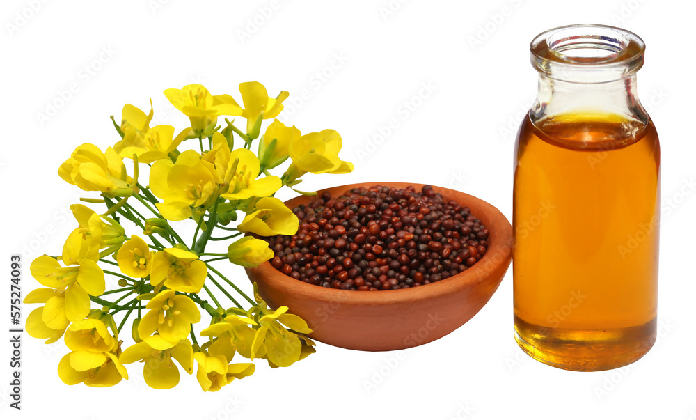 Wall mural Mustard seeds oil and cake - Wall murals