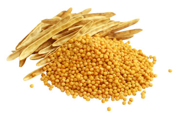 Fresh golden mustard with empty pods