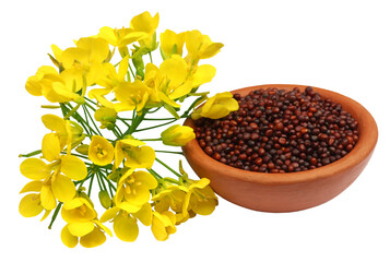 Mustard seeds oil and cake