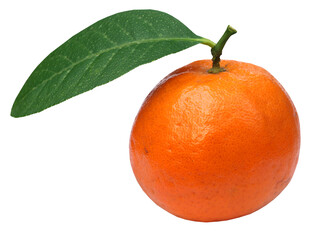 Fresh orange with green leaf