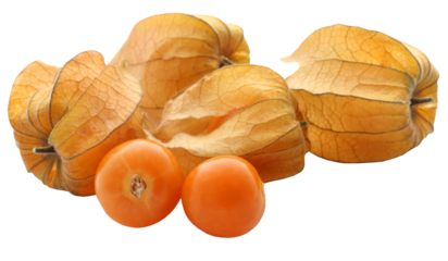 Fresh edible physalis