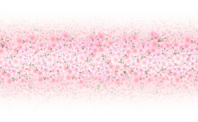 満開の桜グラデーション　桃色