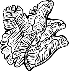 Banana leaves decorative vector elements for banner design, greeting card, holiday poster. Hand drawn illustration, botanical summer vacation theme. Nature ecological, romantic garden. relaxing spa.