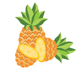 Pineapple fruit, whole and half. Vector illustration cartoon flat icon isolated on white background.