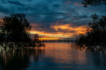 Fototapeta na wymiar Menindee Australia, tree surrounded by water twilight sky over lake