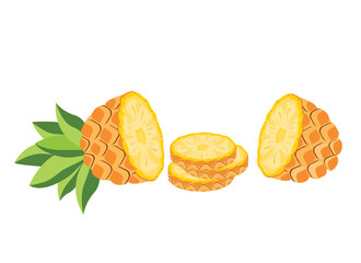 Sliced Pineapple fruit. Vector illustration cartoon flat icon isolated on white background.