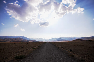 Plain, road, animals, the sun behind the clouds