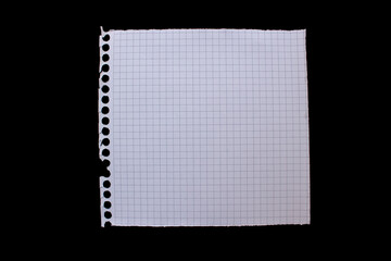 Ripped white graph paper on black background. Torn checkered paper piece with copy space.