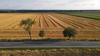 Paweł Urbański © Paweł Hobbytycznie