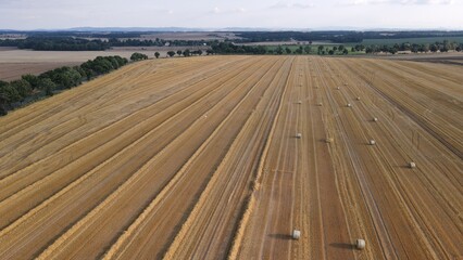 Paweł Urbański © Paweł Hobbytycznie