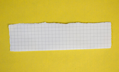 Ripped graph paper on a color background. Torn checkered paper sheet.