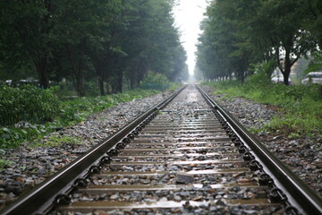 Fototapeta premium railroad tracks in the morning