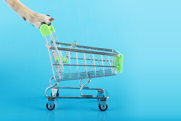 pet supermarket, pet shop delivery, dog paw pushes a supermarket trolley