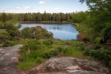 Lake and pine tree forest at Cragside, close to Rothbury in Northumberland, UK