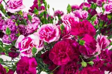 Fototapeta premium Red carnations bouquet close-up