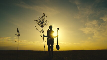 farmer sunset with seedling shovel walks across field. farmer silhouette. Agriculture. farming...