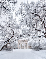 Snow on tree branches. Winter in the park. Gazebo in the park in the snow.