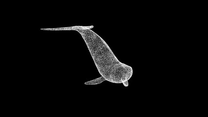 3D whale rotates on black bg. Object dissolved white flickering particles 60 FPS. Business advertising backdrop. Science concept. For title, text, presentation. 3D animation