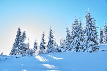 Fototapeta na wymiar Picturesque landscape of winter hills covered with pine forests. Misty mountains in winter. Foggy winter landscape. Scenic view. Sunrise.