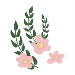 Flowers in a flat, cartoon style. Pink flowers with yellow middle and oblong leaves. Elements for cards, posters, designs for Mother's Day. World Women's Day. The holiday of spring, birthday.