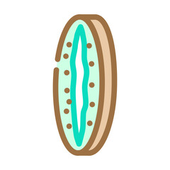 cut fresh kiwi color icon vector illustration