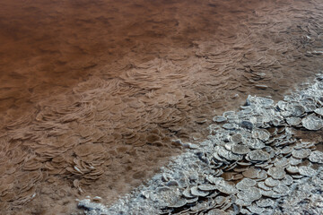Crystals of self-precipitating salt precipitated to the bottom and shore in the hypersaline Kuyalnitsky Estuary, an ecological disaster