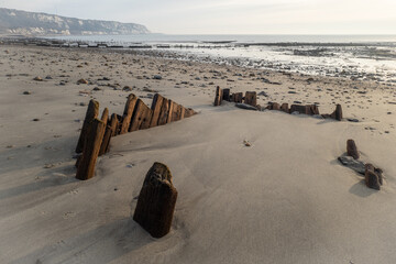 falochron na piachu ,dzika plaża Folkestone
