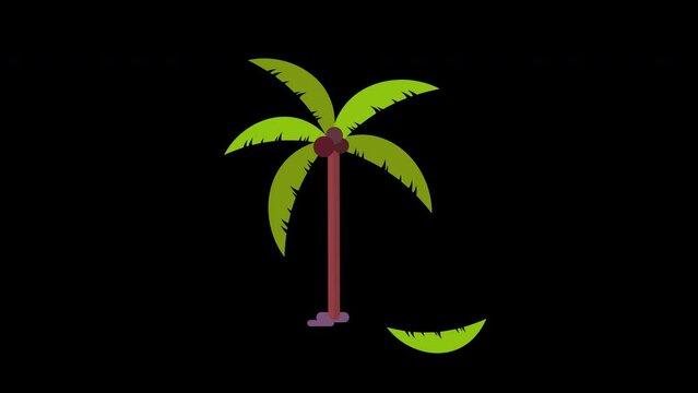 palm tree icon loop Animation video transparent background with alpha channel